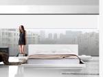     
Modern Platform Bed by VIG Modrest Opal
